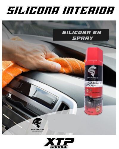 Silicona interior Spray